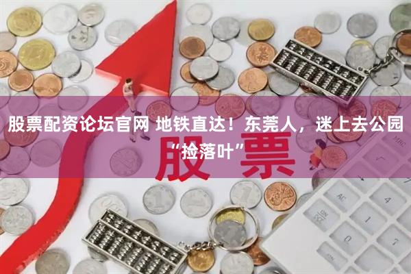 股票配资论坛官网 地铁直达！东莞人，迷上去公园“捡落叶”