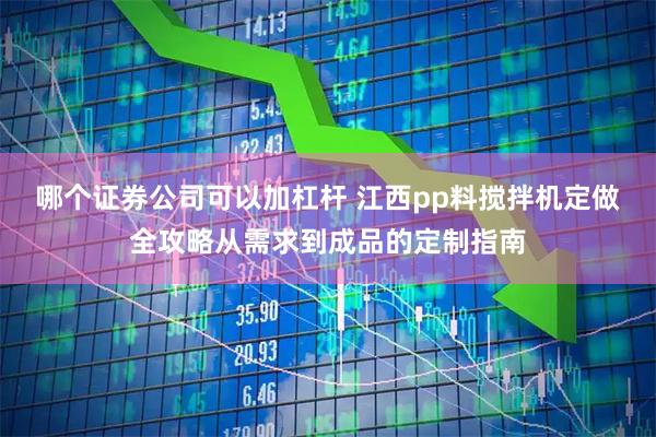 哪个证券公司可以加杠杆 江西pp料搅拌机定做全攻略从需求到成品的定制指南