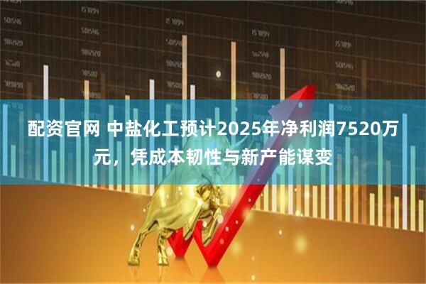 配资官网 中盐化工预计2025年净利润7520万元，凭成本韧性与新产能谋变