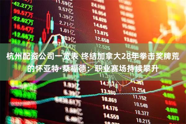 杭州配资公司一览表 终结加拿大28年拳击奖牌荒的怀亚特·桑福德：职业赛场持续攀升