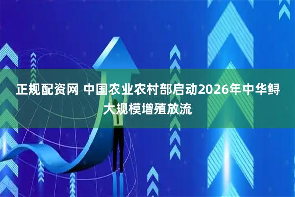 正规配资网 中国农业农村部启动2026年中华鲟大规模增殖放流