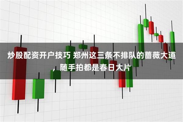 炒股配资开户技巧 郑州这三条不排队的蔷薇大道，随手拍都是春日大片